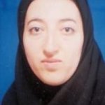تصویر دکتر سعیده سیفی