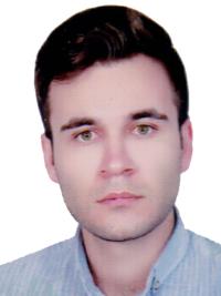 تصویر دکتر محمد محمدی