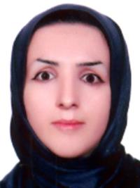 تصویر دکتر هاجر ابراهیمی ورنیاب