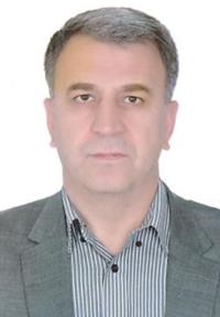 تصویر دکتر هومان خورشیدی