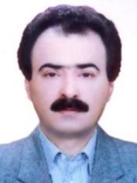 تصویر دکتر محمد وفائی کرارودی
