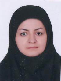 تصویر دکتر رقیه میرزائی