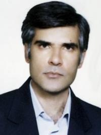 تصویر دکتر محمدرضا برزگری بافقی