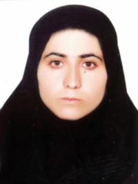 تصویر دکتر پروین امیری