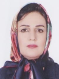 تصویر دکتر سیده فریبا حسام محسنی