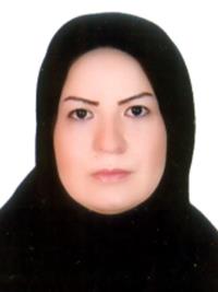 تصویر دکتر هاجر نوروزی مقدم