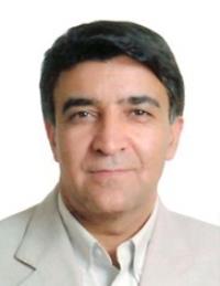 تصویر دکتر محمدرضا محمدحسنی
