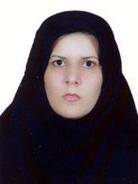 تصویر دکتر بیان قصاب نقدهی