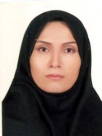 تصویر دکتر مینا ابراهیمی
