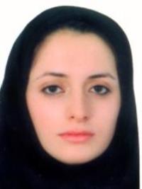 تصویر دکتر شادن امیری خورههء