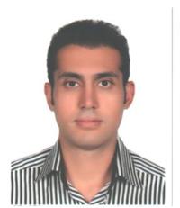 تصویر دکتر شایان سالکی