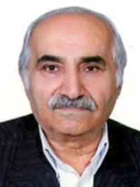 تصویر دکتر محمد غلامی