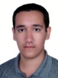 تصویر دکتر آرام ستاری