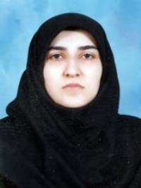 تصویر دکتر سیده حمیده فخرائی