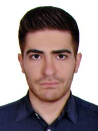 تصویر دکتر شایان نیک آهنگ