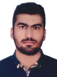 تصویر دکتر مهدی شفیع خانی