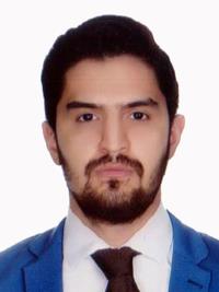 تصویر دکتر هامون صبری