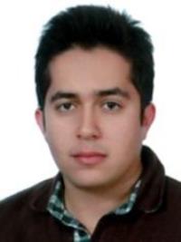 تصویر دکتر حمیدرضا ارباب