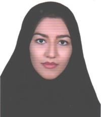 تصویر دکتر نفیسه ارمند