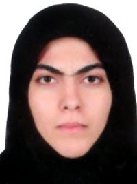 تصویر دکتر سیده فاطمه حسینی کوچکسرائی