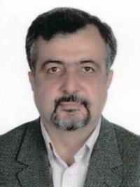 تصویر دکتر امیررضا رکن