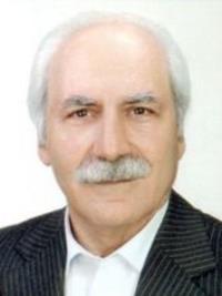 تصویر دکتر مهدی مهدوی شهری
