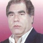 تصویر دکتر حسین مسیبی برزی