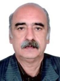 تصویر دکتر جواد سعیدیان طبس بجستانی