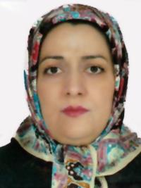 تصویر دکتر وحیده خادم ثامنی