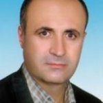 تصویر دکتر تیمور فیضی