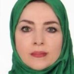 تصویر دکتر بهجت تقی زادقویدل