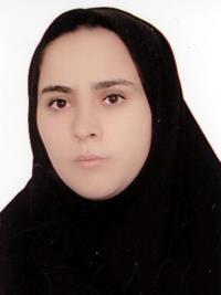 تصویر دکتر نفیسه مهان فر