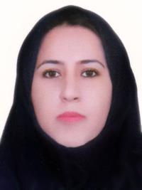 تصویر دکتر سمیه خادمی کاخکی