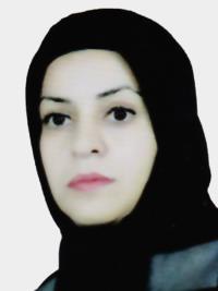 تصویر دکتر بهجت ابراهیمی