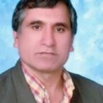 تصویر دکتر مهدی فرزانه بجستانی