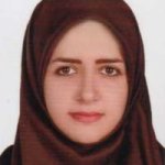 تصویر دکتر نجمه روشن ضمیر