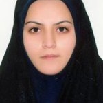 تصویر دکتر سیده نفیسه نصرتی