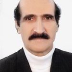 تصویر دکتر حسین حامدی