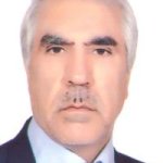 تصویر دکتر نادعلی مهدی پور