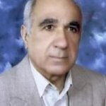 تصویر دکتر محمدحسین فروغی