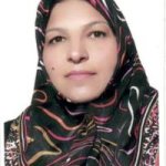 تصویر دکتر آزاده شاهی محمدی