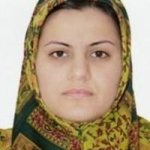 تصویر دکتر سمیه شیری