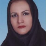 تصویر دکتر عزت شمسی پوردهکردی