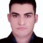 تصویر دکتر هادی بیگی