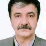 تصویر دکتر محسن شبیری