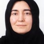 تصویر دکتر اشرف سادات موسوی نجف آبادی