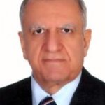 تصویر دکتر مسعود مهراذین