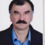 تصویر دکتر علی حسین مسگرزاده