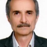 تصویر دکتر حسین فیض