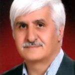 تصویر دکتر محمدهادی رفیعی